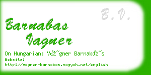 barnabas vagner business card